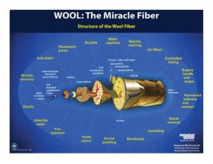 Image of the Wool the Miracle Fiber poster shop item