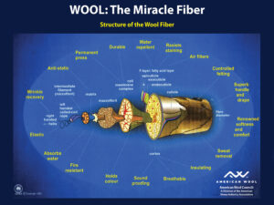 Miracle Fiber Poster