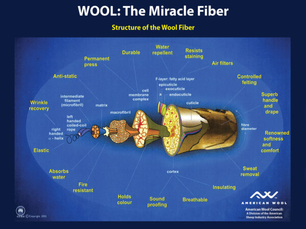 Miracle Fiber Poster