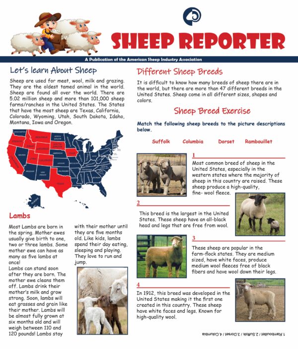 Image of the Sheep Reporter shop item