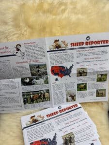 Image of the Sheep Reporter shop item