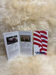 Image of the US Sheep Breeds Directory shop item