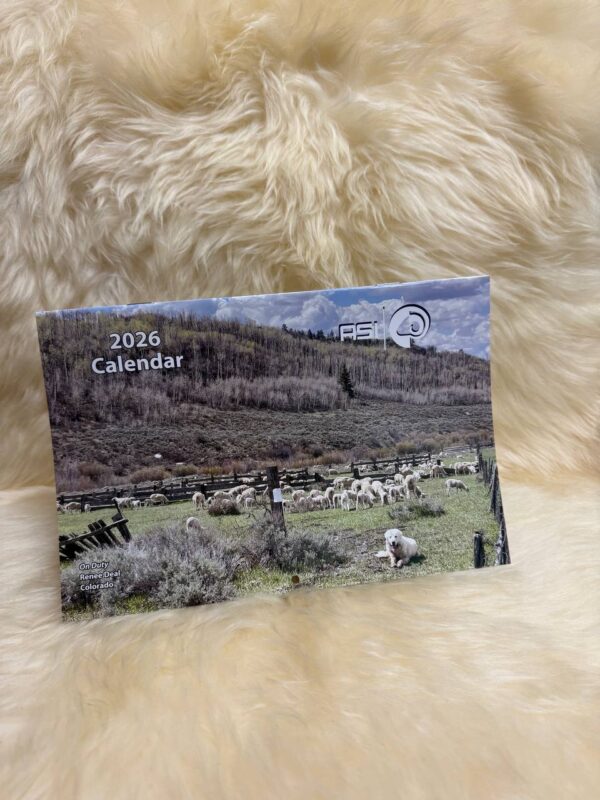Picture of the American Sheep Industry Association (ASI) 2026 Calendar.