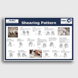 Image of the Shearing Pattern Poster shop item