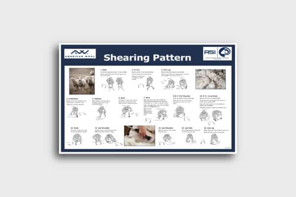 Image of the Shearing Pattern Poster shop item