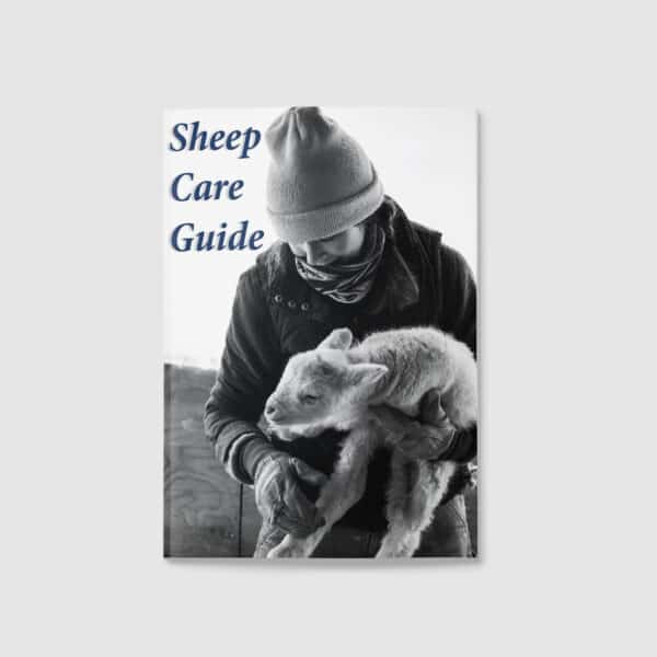 Image of the Sheep Care Guide