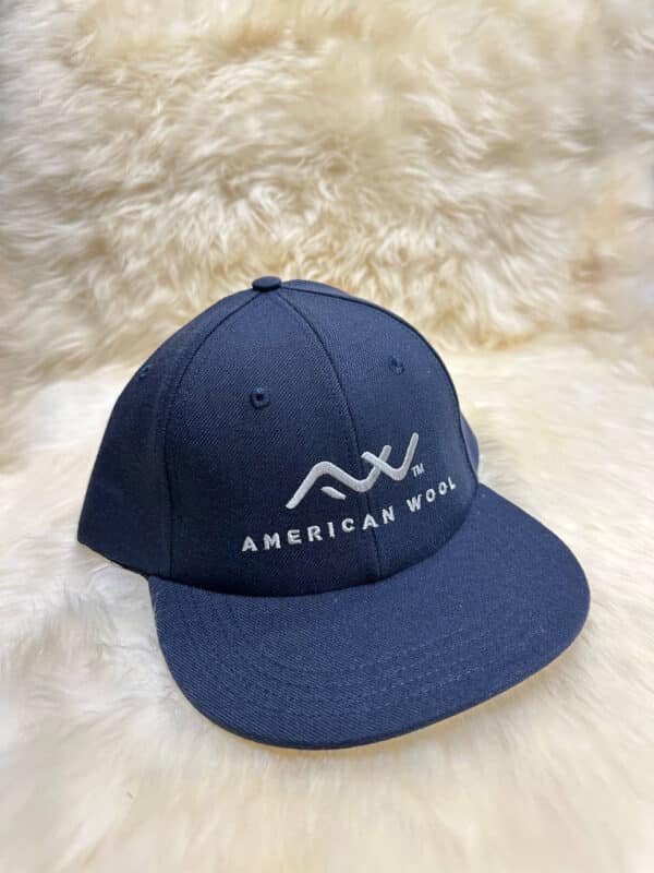 Image of the American Wool Hat shop item