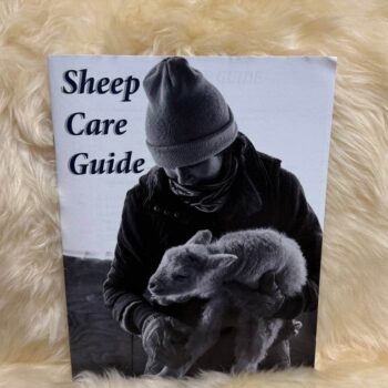 Image of the Sheep Care Guide
