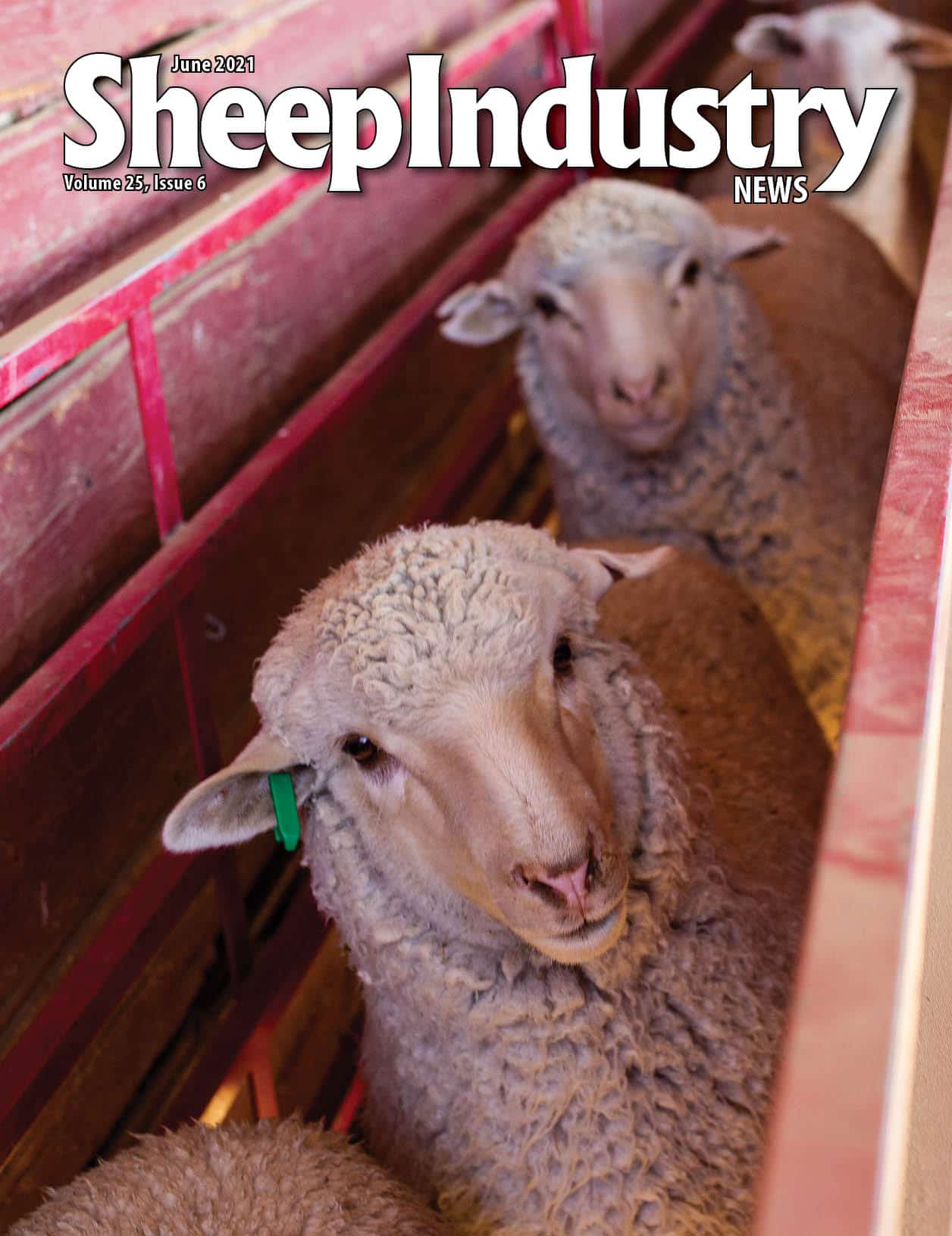 Home American Sheep Industry Association