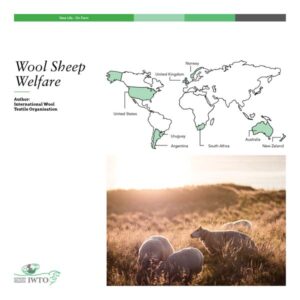 IWTO Wool Sheep Welfare home