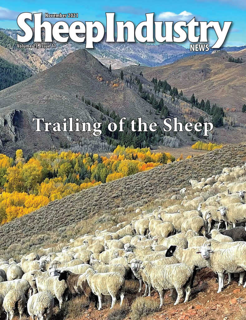 Home American Sheep Industry Association