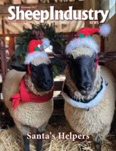 Sheep Industry News December 2021