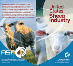 US Sheep Industry Brochure