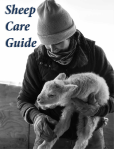 Sheep Care Guide PDF