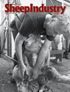Sheep Industry News February 2022