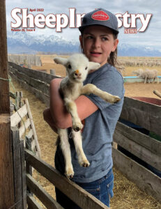 Sheep Industry News April 2022