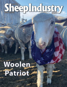 Sheep Industry News July 2022