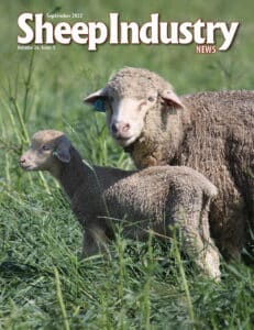 Sheep Industry News September 2022