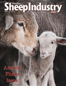 Sheep Industry News October 2022