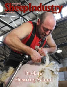 Sheep Industry News December 2022