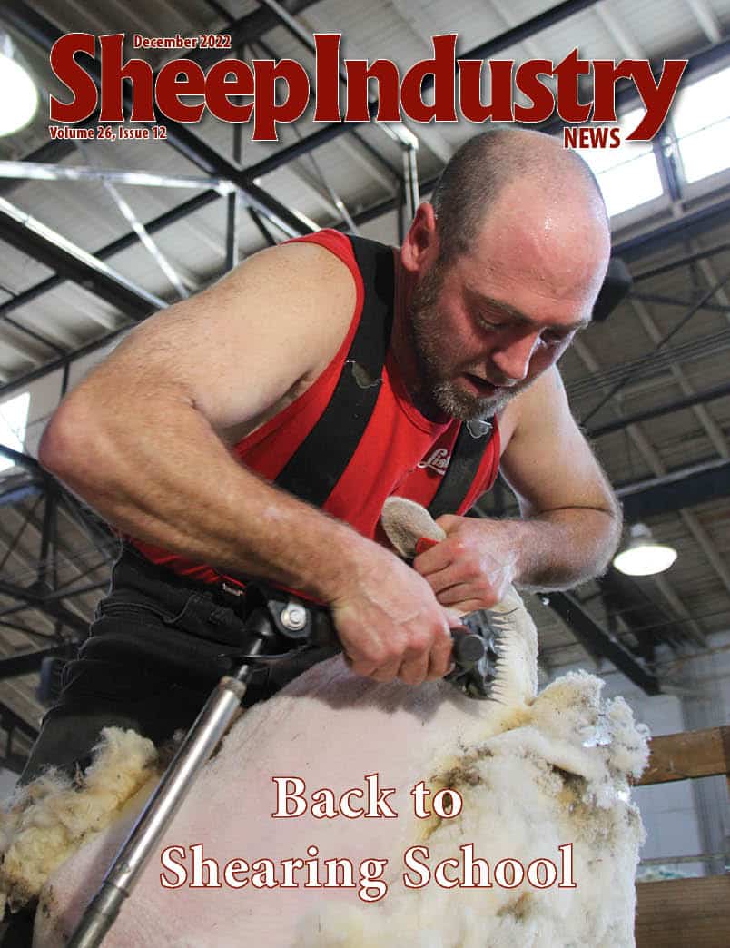 Sheep Industry News December 2022
