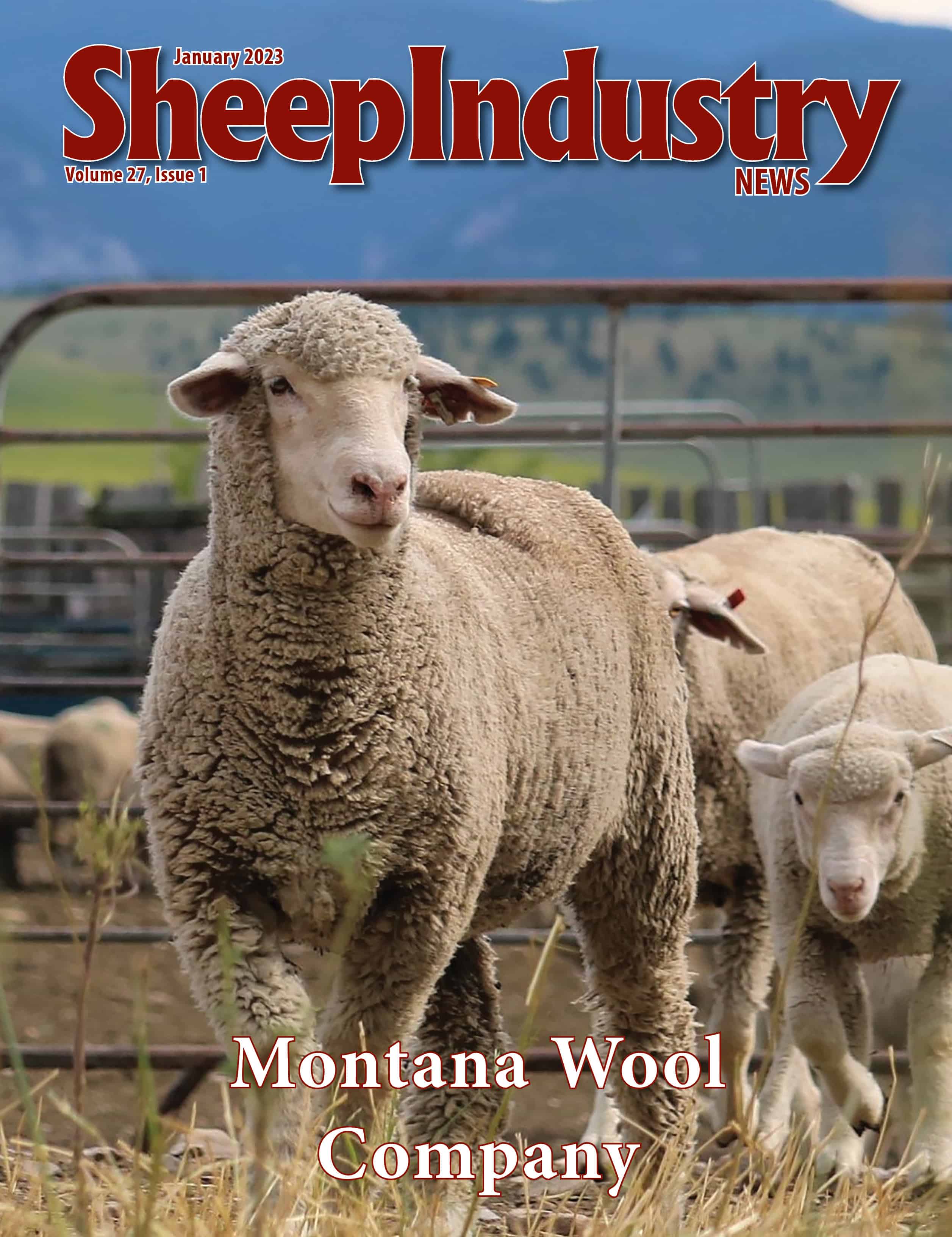 Sheep Industry News January 2023