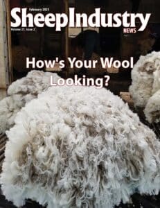 Sheep Industry News February 2023