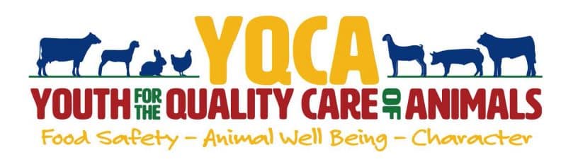 Youth for the Quality of Care of Animals Home
