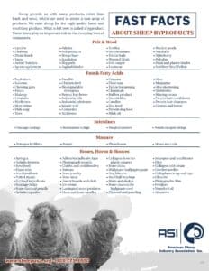 Sheep Byproducts Factsheet