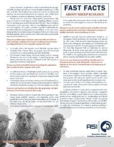 Sheep Ecology Factsheet