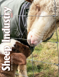 Sheep Industry News April 2023