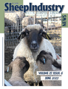 Sheep Industry News June 2023