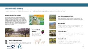 Sheep Environmental Stewardship Infographic
