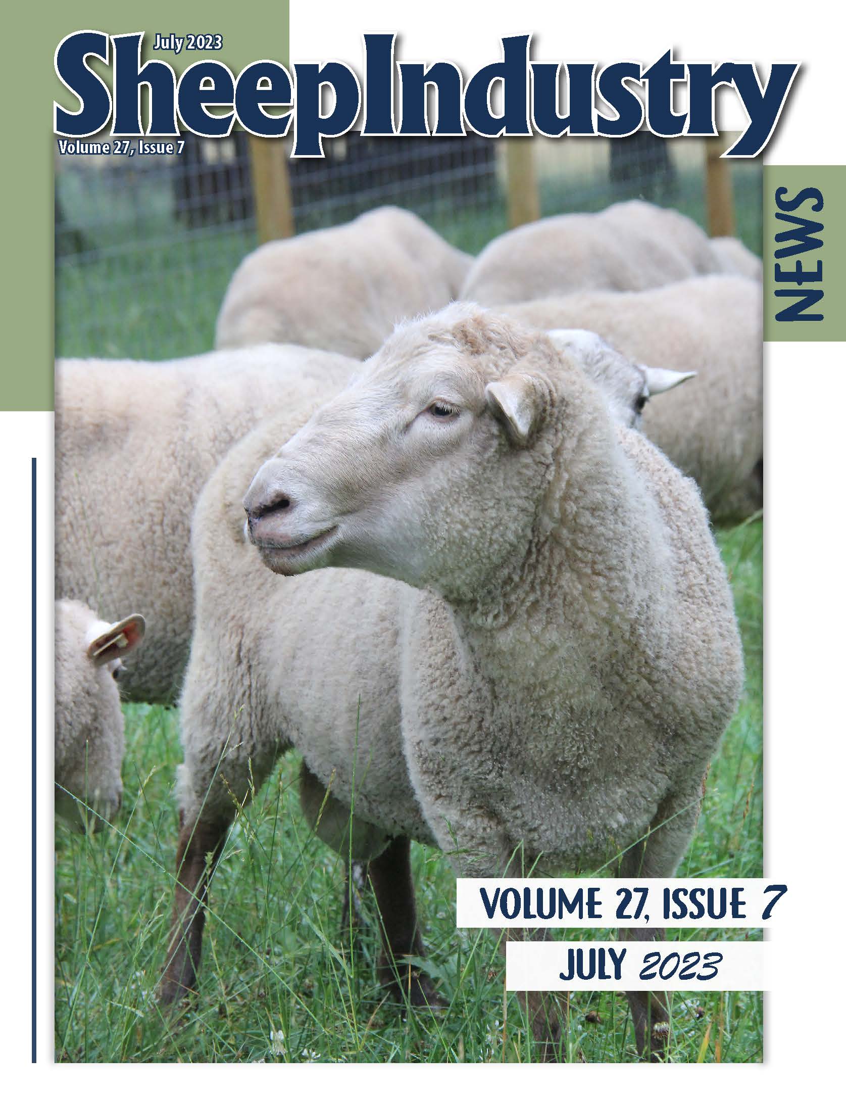 Sheep Industry News July 2023