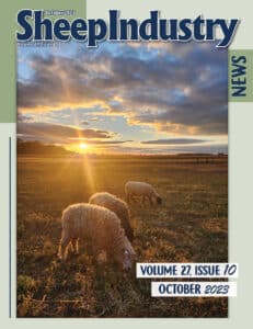 Sheep Industry News October 2023