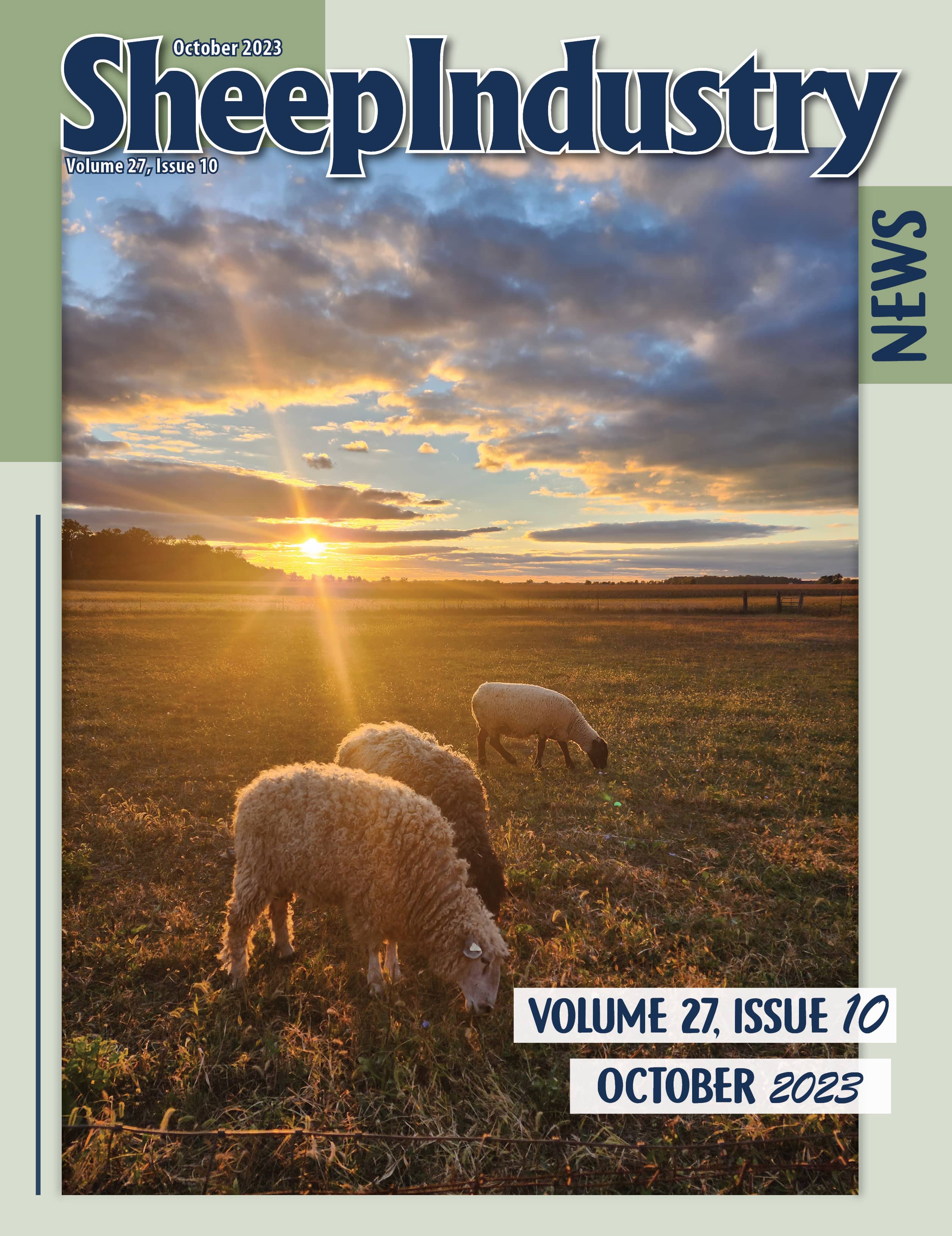 Sheep Industry News October 2023