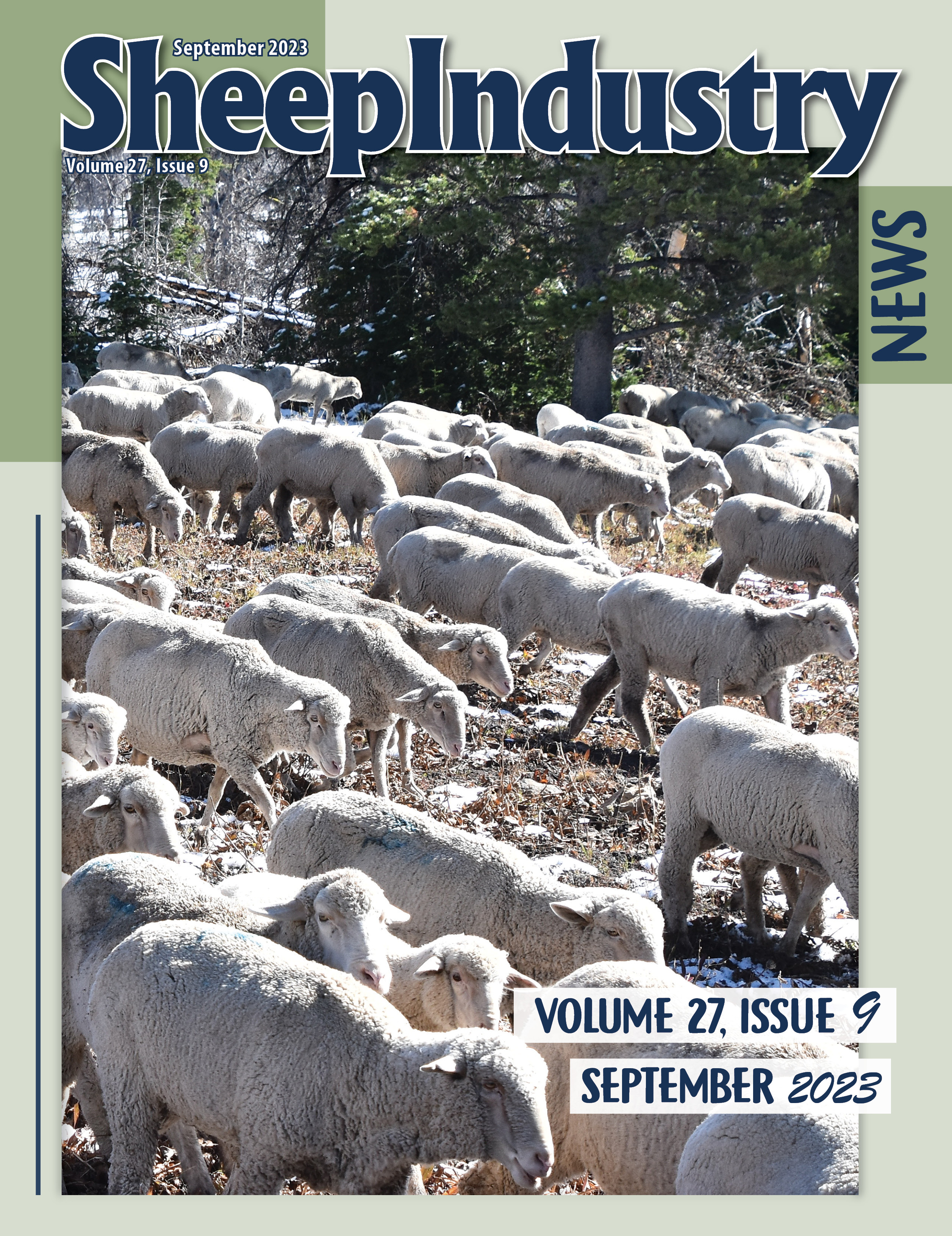 Sheep Industry news September 2023