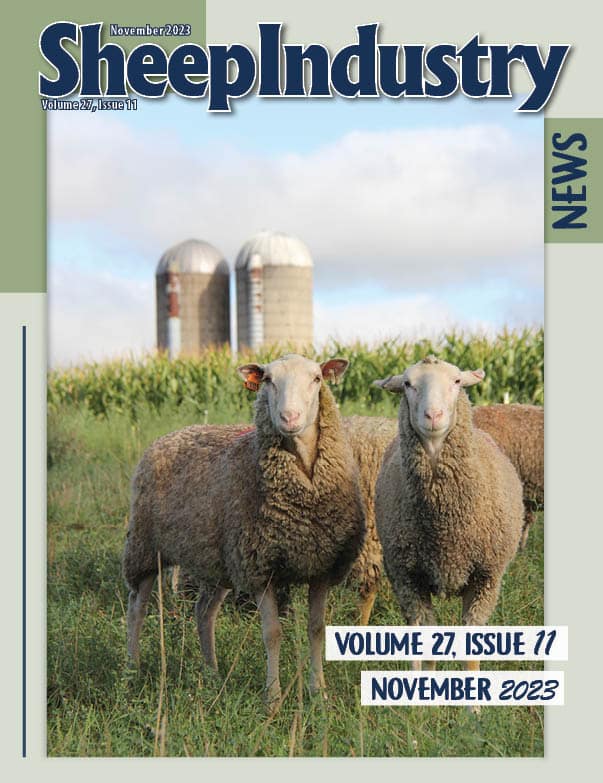 Sheep Industry News November 2023
