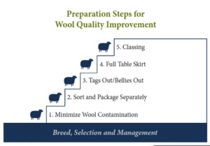 Preparation Steps for Wool Quality Improvement