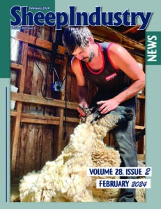 Sheep Industry February 2024
