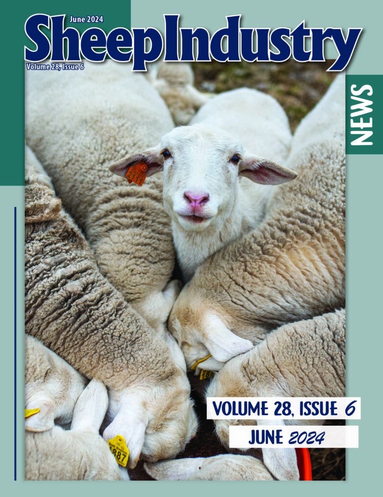 American Sheep Industry Sheep Industry News
