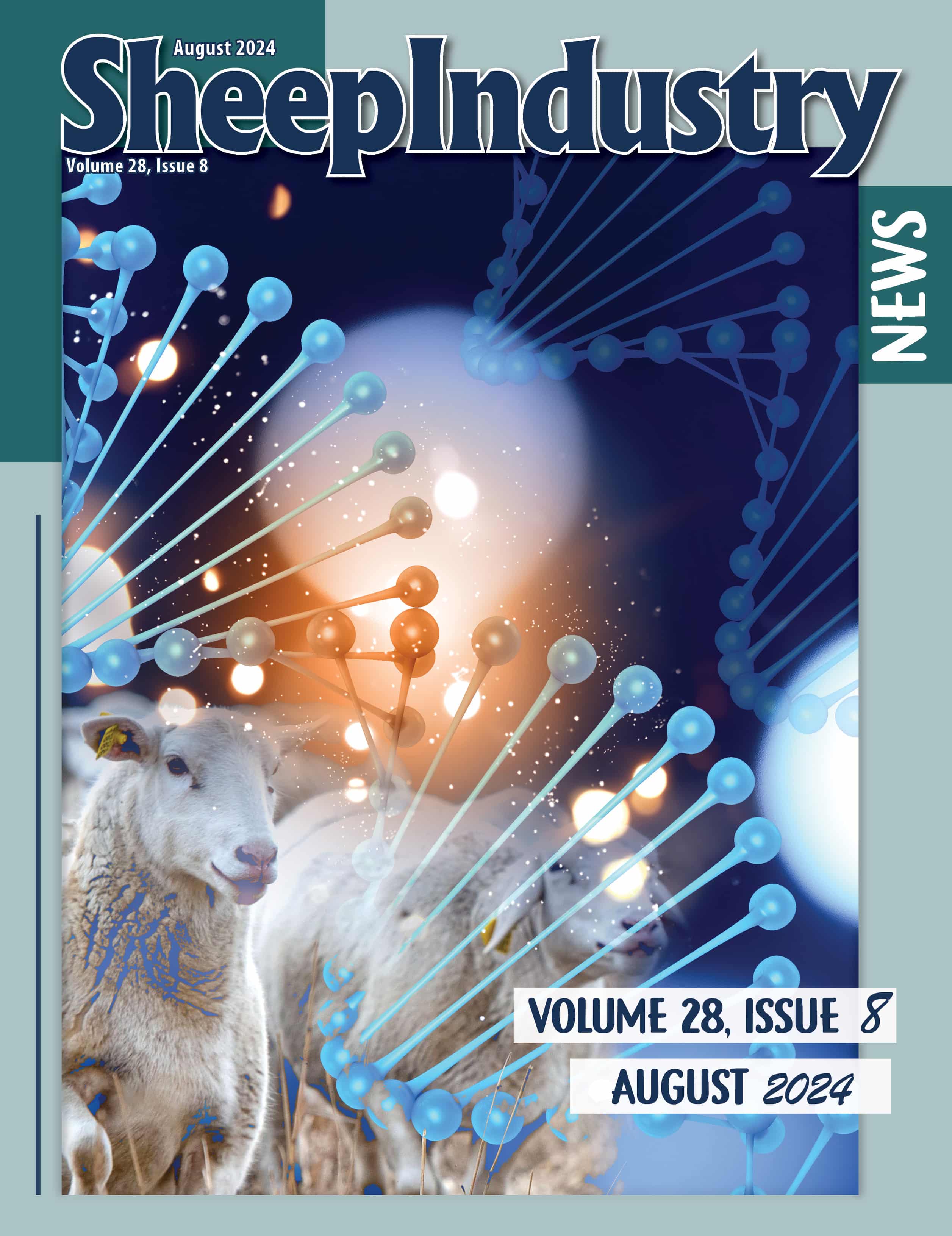 Sheep Industry News August 2024