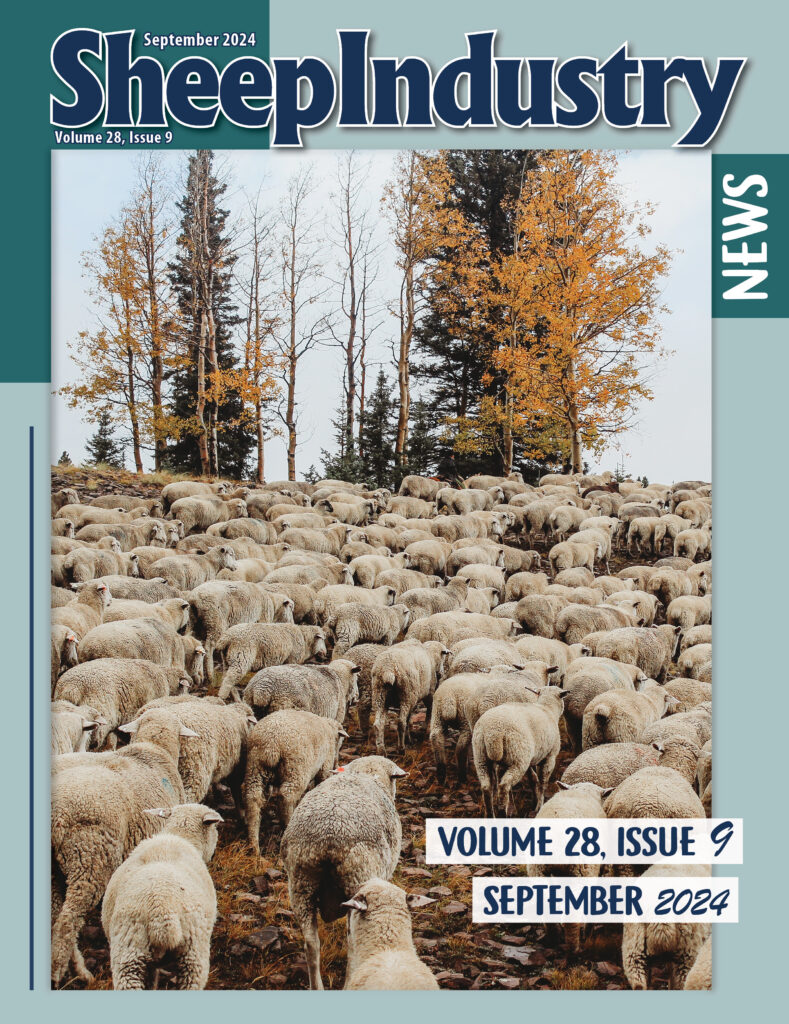 American Sheep Industry Sheep Industry News