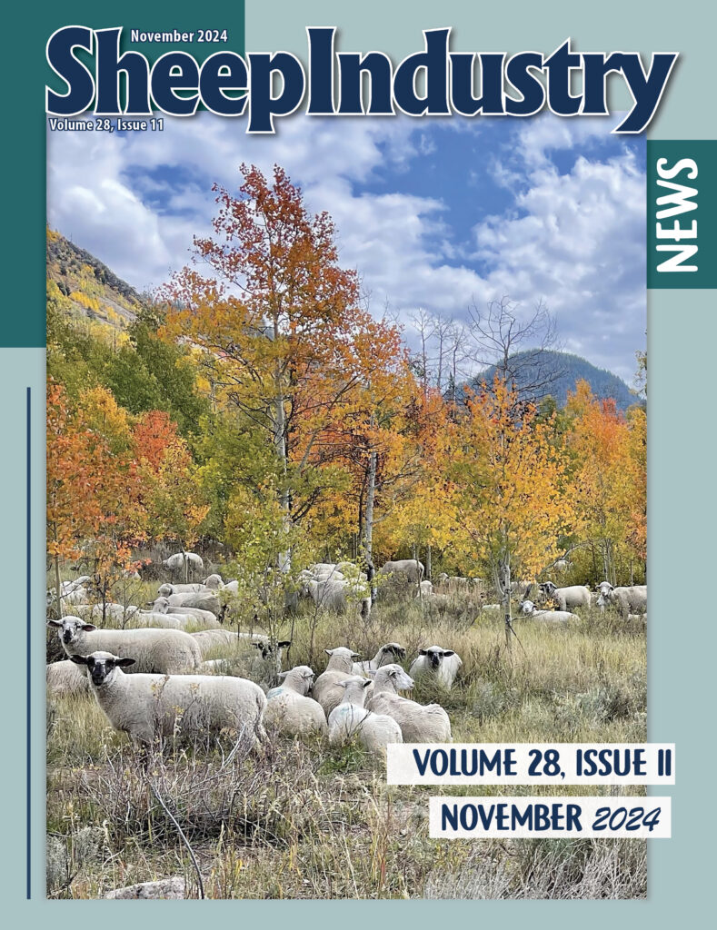 American Sheep Industry Sheep Industry News