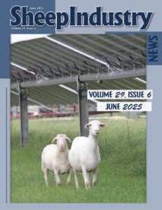 SIN June 2025