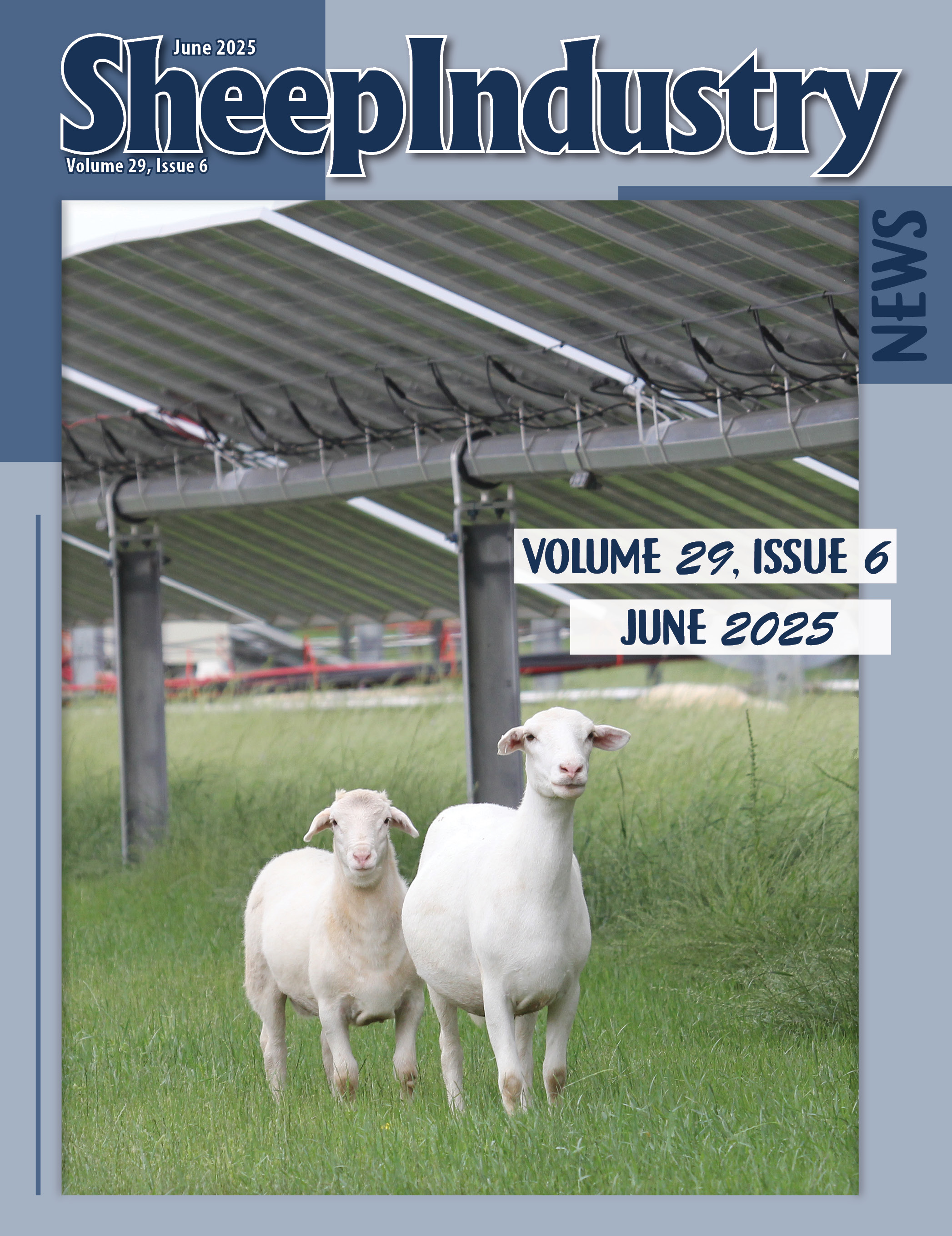 SIN June 2025