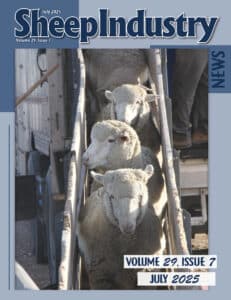Thumbnail of a document titled "Sheep Industry News, Volume 29, Issue 7, July 2025."