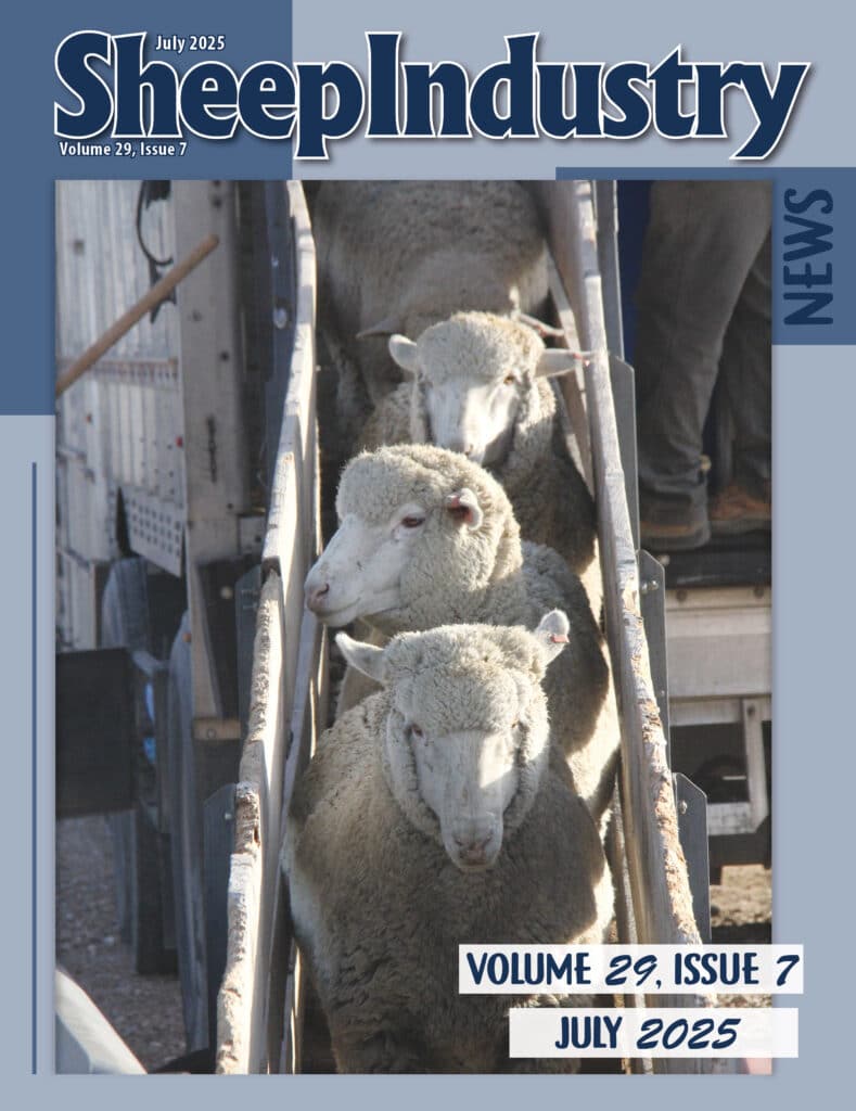 Thumbnail of a document titled "Sheep Industry News, Volume 29, Issue 7, July 2025."
