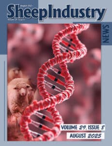 Thumbnail of a document titled "Sheep Industry News, Volume 29, Issue 8, August 2025."