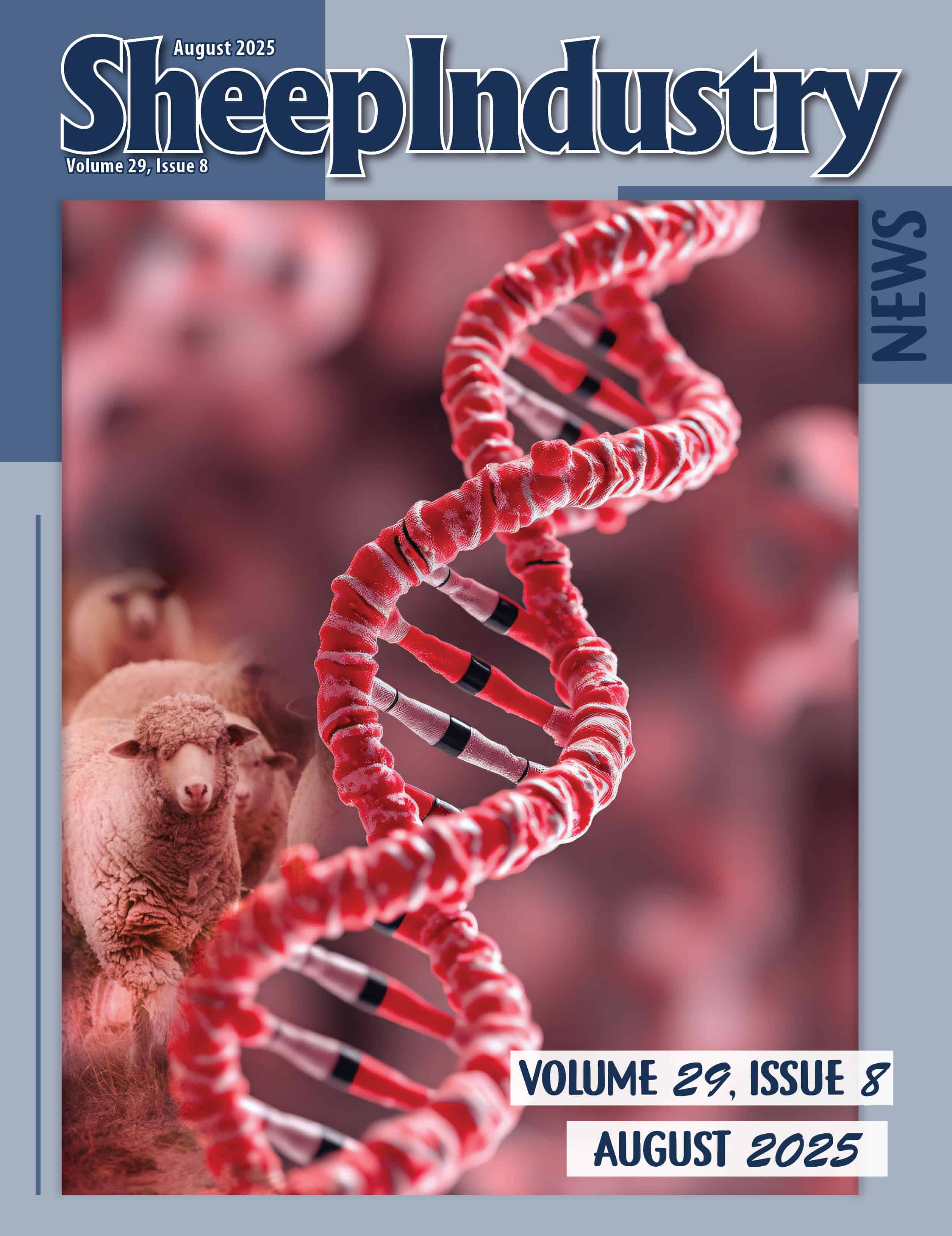 Thumbnail of a document titled "Sheep Industry News, Volume 29, Issue 8, August 2025."